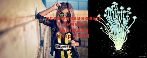 твердый Алексин