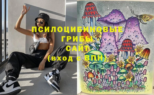 герыч Алзамай